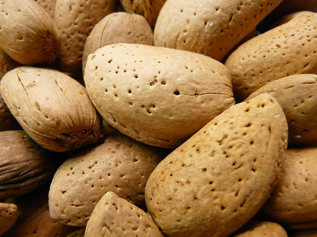 Premium Organic Kaghazi Almonds (Badam with shell) from Skardu Gilgit Baltistan
