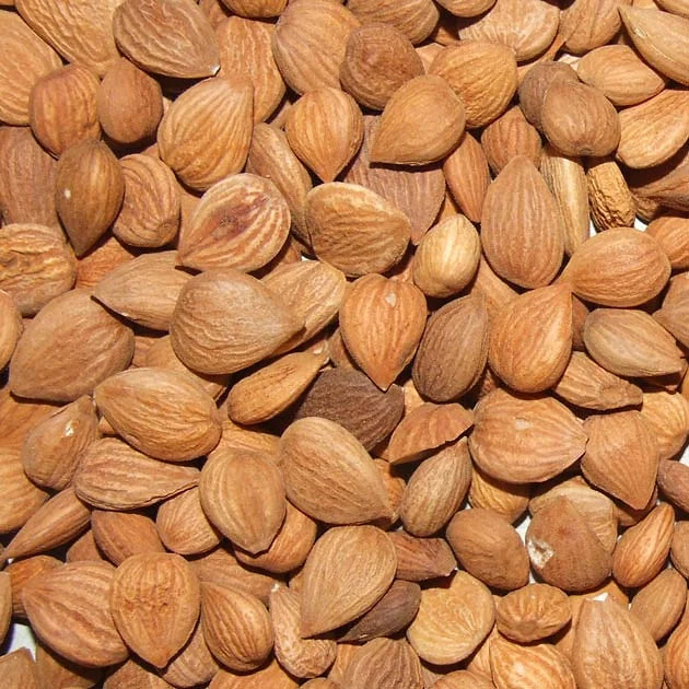 Organic Sweet roasted  Apricot Kernels (Khubani Giri) from Skardu Gilgit Baltistan